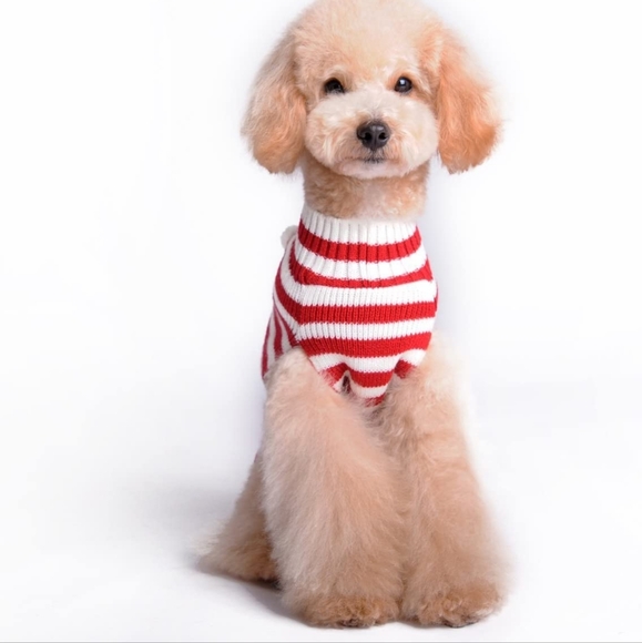 NEW BOBIBI Red Striped Dog Sweater Christmas Santa Pet Cat Winter Knitwear Warm - Picture 3 of 9